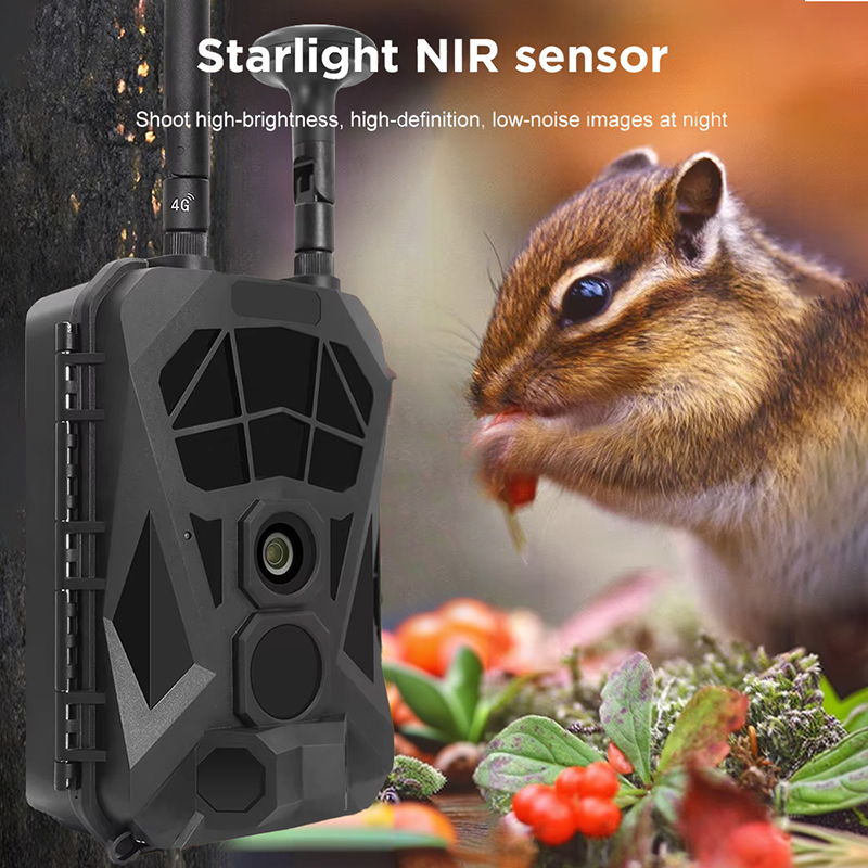 Câmera de trilha 4G GPS sem fi - Outdoor Hunting Camera Wireless avaliação e preço