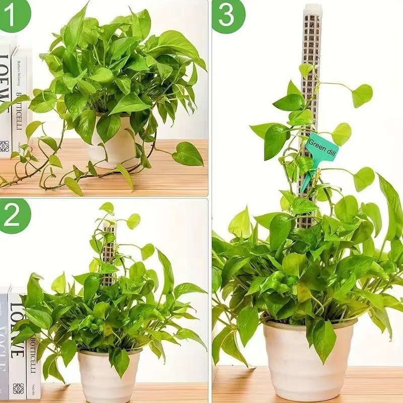 1/2/3 Peças Coluna de Musgo Au - Tree Stand Ladder avaliação e preço