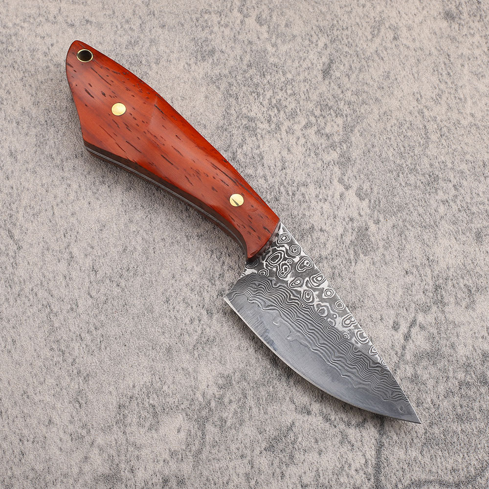 VG10 Damasco Aço Caça Faca, So - Hunting Camp Outdoor Kitchen avaliação e preço